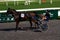 Antibes, France. 17.08.2020 Horses trotter breed in motion on hippodrome. Harness horse racing.