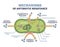 Antibiotic resistance outline diagram, illustrated mechanism in bacteria cell