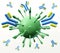 Antibodies, immunoglobulins, the immune