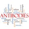 Antibodies Word Cloud Concept