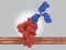 Antibody binding to the spike S-protein of the coronavirus