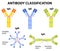 Antibody classification