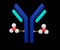 The antibody with drug conjugated cytotoxic payload for drug carrier or delivery