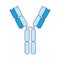 Antibody immune system influenza viruses, bacteria, coronavirus, COVID-19 and foreign substances in the blood. Vector