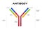 Antibody molecule cell vector / Antigen