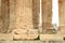 Antic columns in Zeus temple
