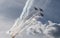 Antidotum airshow Leszno flight of aerobatic planes