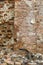 Antient cracked brick wall background vertical