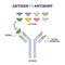 Antigen vs antibody with medical immune system differences outline diagram