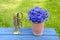 Antigue clay pot with cornflowers and brass trumpet