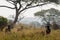 Antilope gnu in Africa savanna wildlife safari