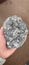 Antimonite - mineral speciment from papua