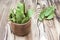 Antioxidant kitchen herbs. Spices of bay leaf in rural style. Dried aromatic bay leaves in a wooden bowl on the white wooden rusti