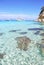 Antipaxos beach landscape Greece