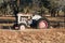 Antiquated farm equipment in community park