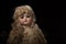 Antique 1887 Bisque Doll