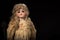 Antique 1887 Bisque Doll