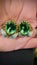 Antique Authentic Emeralds set in Two Tones/Clip on Earrings