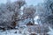 Antique barn and silos on snowy morning Sierra Nevada mountains California