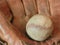 Antique Baseball with Glove