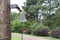 Antique bell at the entrance to the ranch near the roads