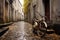 antique bike parked in a cobblestone alley