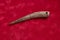 Antique bone Marline Spike for the weaving of Fishing net, with a carved ornament