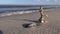 Antique brass bell with mermaid figure beach sand