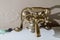 Antique brass telephone faucet or tap set on enameled bath still in use today
