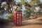 Antique British telephone booth as a famous image set up in a forest park by the sea.