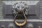 Antique bronze door knocking knob ring in the form of a lion`s face on an door