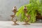 Antique candlesticks on concrete background