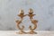 Antique candlesticks on concrete background