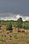 Antique Car and partial log cabin in Linden, Navajo County, Arizona, United States