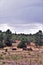 Antique Car and partial log cabin in Linden, Navajo County, Arizona, United States