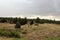 Antique Car and partial log cabin in Linden, Navajo County, Arizona, United States