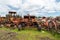 Antique cars on a big scrapyard at the end of Old Coach Road Trail, New Zealand