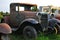 Antique Cars in the Field