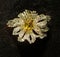 Antique Cartier Jewelry Design Flower Pendant Floral Brooch Yellow Sapphire