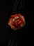 Antique Cartier Jewelry Pendant Necklace Rose Coral Luxury Lifestyle