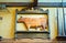 Antique carved cow sign