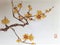 Antique Chinese Painting Chimonanthus Praecox Yellow Flowers Flowers Flower Blossom Floral Bird Brush Paintings Watercolor