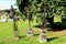 Antique christian metal crosses on graveyard