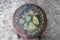 Antique circle wooden chair, color stamp to duck lotus and leaf