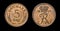 Antique coin of 5 ore