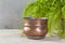Antique copper flower pot