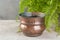 Antique copper flower pot