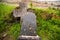 Antique cross and tombstone overgrown with grass