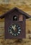 antique cuckoo wall clock on wood background ,time concept
