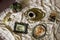 Antique dishes on a table with a checkered tablecloth, nearby are old paintings